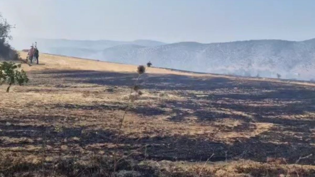 Karabük’te çıkan anız yangınında son durum: Kontrol altına alındı